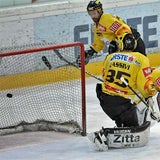 caps_linz_04_apa