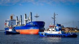 Seltener Gast in Wismar: Finnwal verirrt sich in deutsches Hafenbecken