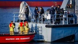 Seltener Gast in Wismar: Finnwal verirrt sich in deutsches Hafenbecken