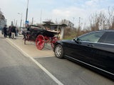 Fiakerpferd bricht zusammen – tot
