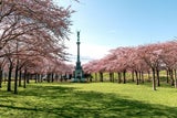 Langelineparken