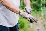 Diese Gartenarbeiten dürfen Sie im März nicht verpassen!