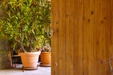 Diese häufigen Garten-Fehler sollten Sie im März unbedingt vermeiden