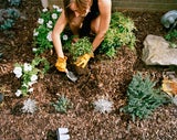 Nicht verpassen! Die wichtigsten Garten-To-dos für den März