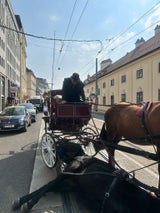 Der Kutscher beobachtete die Szene mit einem Grinsen im Gesicht.