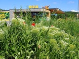 Billa Staatspreis