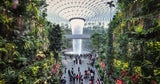 Mega-Erfolg für Wien: Das sind die besten Flughäfen der Welt