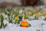 Laut Bauernregel: Was Schnee an Ostern für das restliche Jahr bedeutet