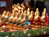 Osterhasen im Test: Diese Schoko-Hasen sind die großen Testsieger 2026
