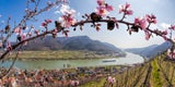 GEHEIM-TIPPS: Das sind die 5 schönsten Orte für einen Frühlings-Trip in Österreich