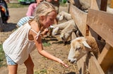 Neue Saison, neue Highlights: Die Family City öffnet wieder