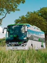 Erste E-Reisebusse in Österreich: Wiener Unternehmen startet grüne Bus-Revolution