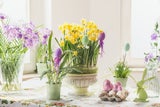 Ostern in Blüte: Dekoration aus Blüten und Zweigen