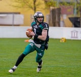 Dragons Vikings