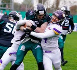 Dragons Vikings