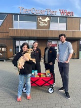 Hunde-Wunder vom Votivpark: Mila kämpft sich zurück ins Leben