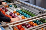 Eier-Nachfrage steigt weiter: Versorgung zu Ostern gesichert & AMA-Gütesiegel als Qualitätsgarant