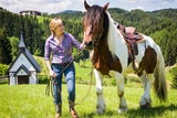 Hoch zu Ross: die schönsten Reitwege findet man im Mühlviertel.