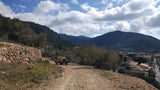 Jeep-Safari durch Olivenhaine von Son Moragues in der Sierra de Tramuntana.