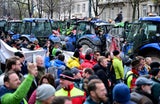 Demo in Wien
