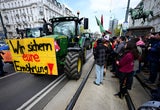 Demo in Wien