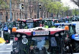 Demo in Wien