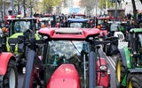 Demo in Wien