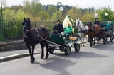 Osterhasenfahrt Gallspach