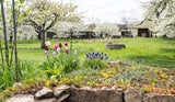 Achtung: Diese Gartenarbeiten dürfen Sie im April nicht verpassen!