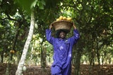 Kakaobäuerin aus Ghana