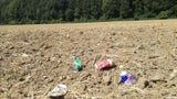 Müll und Hundekot gefährden Rinder