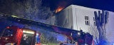 Gugging: ENTWARNUNG! Kult-Museum nach Feuer-Schock schon Samstag wieder offen