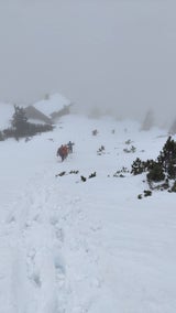 Untersberg April Schnee
