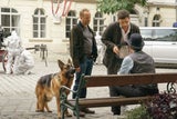"Kommissar Rex": Comeback am 13. April