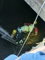 Feuerwehr konnte Kälber aus Güllegrube bergen.