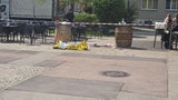 Linz Axt