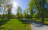 Frühlingserwachen: Die besten Wanderungen für das 20-Grad-Wochenende in Österreich