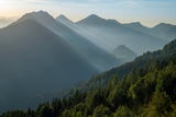 Frühlingserwachen: Die besten Wanderungen für das 20-Grad-Wochenende in Österreich