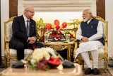 Modi Stocker