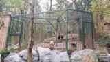 Tierschützer nach Zutrittsverbot bei Bär Tim in großer Sorge
