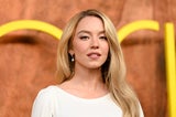 "Der Teufel trägt Prada 2": Sydney Sweeney landet im Papierkorb – DAS ist der Grund