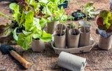 Achtung: Deshalb sollten Sie Klopapier in den Garten stellen