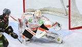 graz99ers
