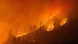 Waldbrand im Lesachtal