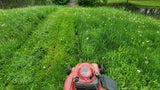 Warnsignal aus dem Garten: Das bedeutet der Duft von frisch gemähtem Rasen