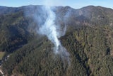 Großeinsatz bei Waldbrand in Wiener Neustadt