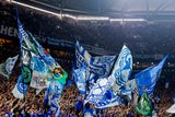 Schalke 04