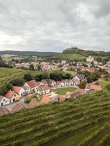 Oagossn Falkenstein ist "Schönste erlebbare Kellergasse im Weinviertel 2026“