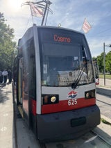 cosmo bim