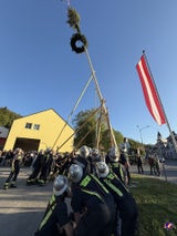 maibaum st. andrä wördern